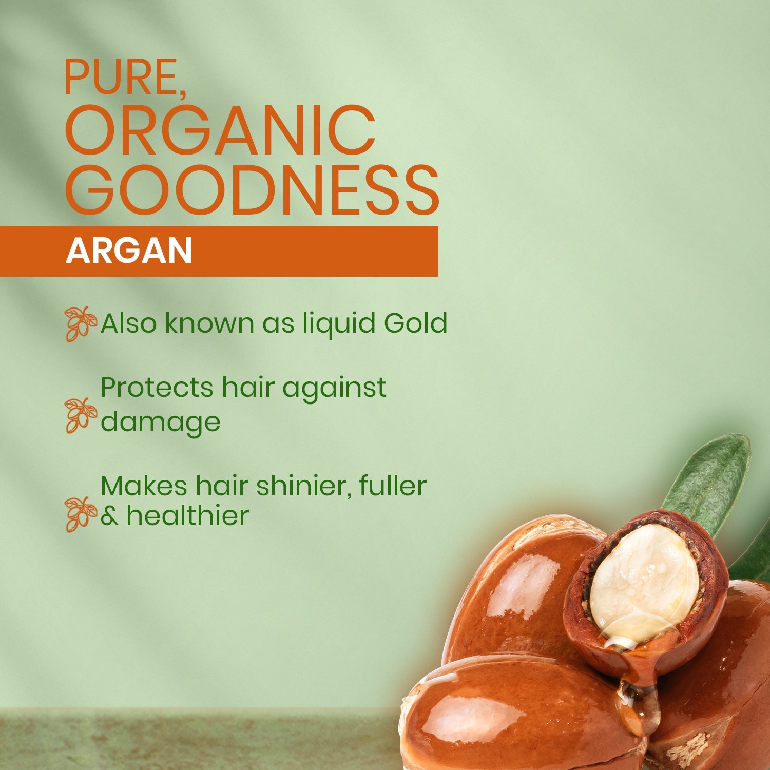 Kesh King Organics - Organic Argan Shampoo for Smooth Shiny Hair