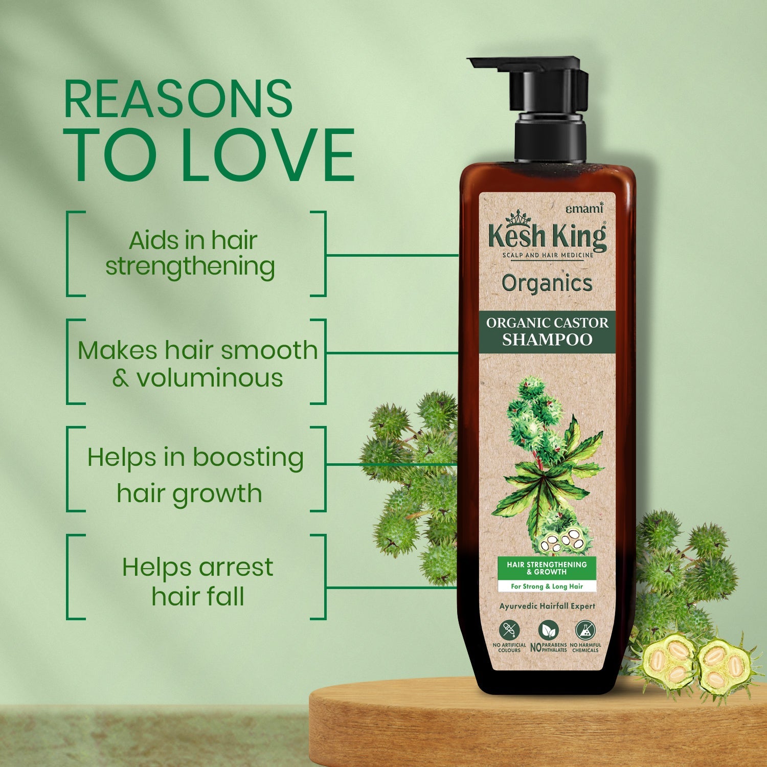 Kesh King Organics - Organic Castor Anti Hairfall and Strengthening Shampoo