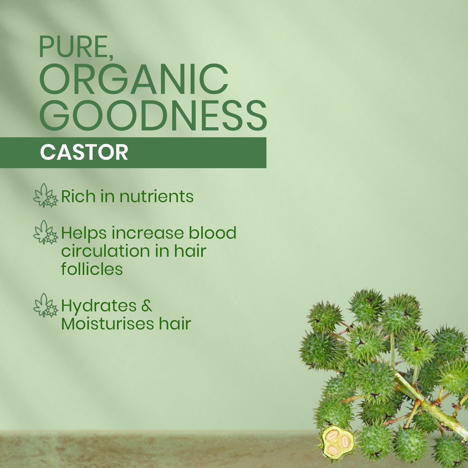 Kesh King Organics - Organic Castor Anti Hairfall and Strengthening Shampoo