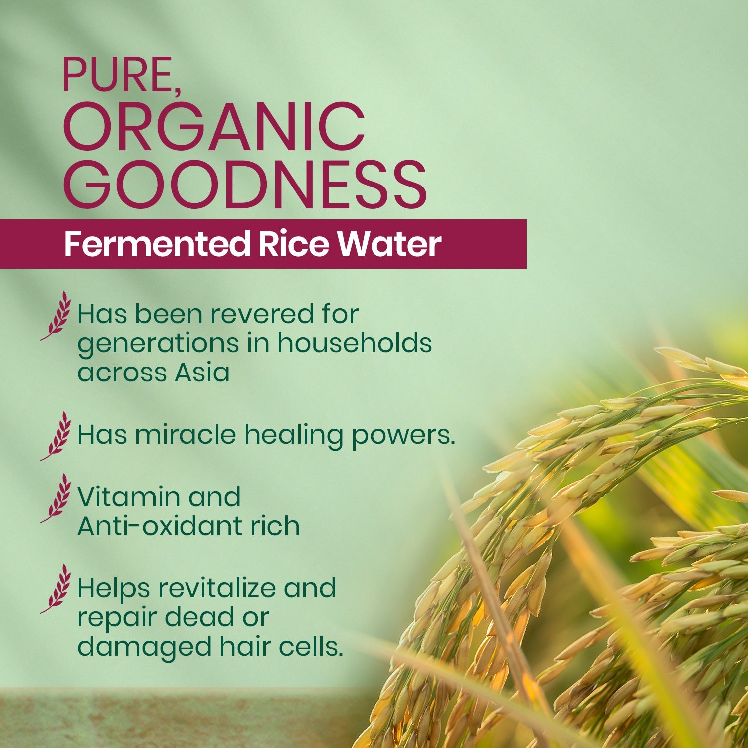 Kesh King Organics - Organic Fermented Rice Water Shampoo