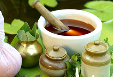 Top 4 Herbs for all types of Hair Problems
