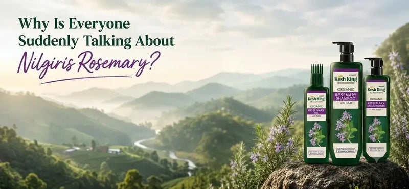 Why Is Everyone Suddenly Talking About Nilgiris Rosemary?