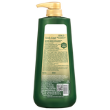 Kesh King Gold Anti-Hairfall Shampoo