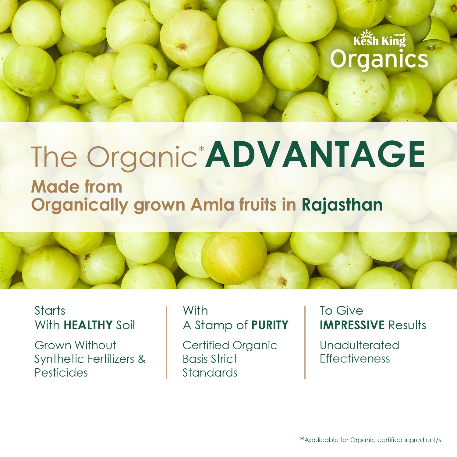 Kesh King Organics Organic Amla Powder 100g