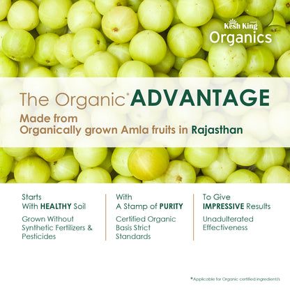 Kesh King Organics Organic Amla Powder 100g