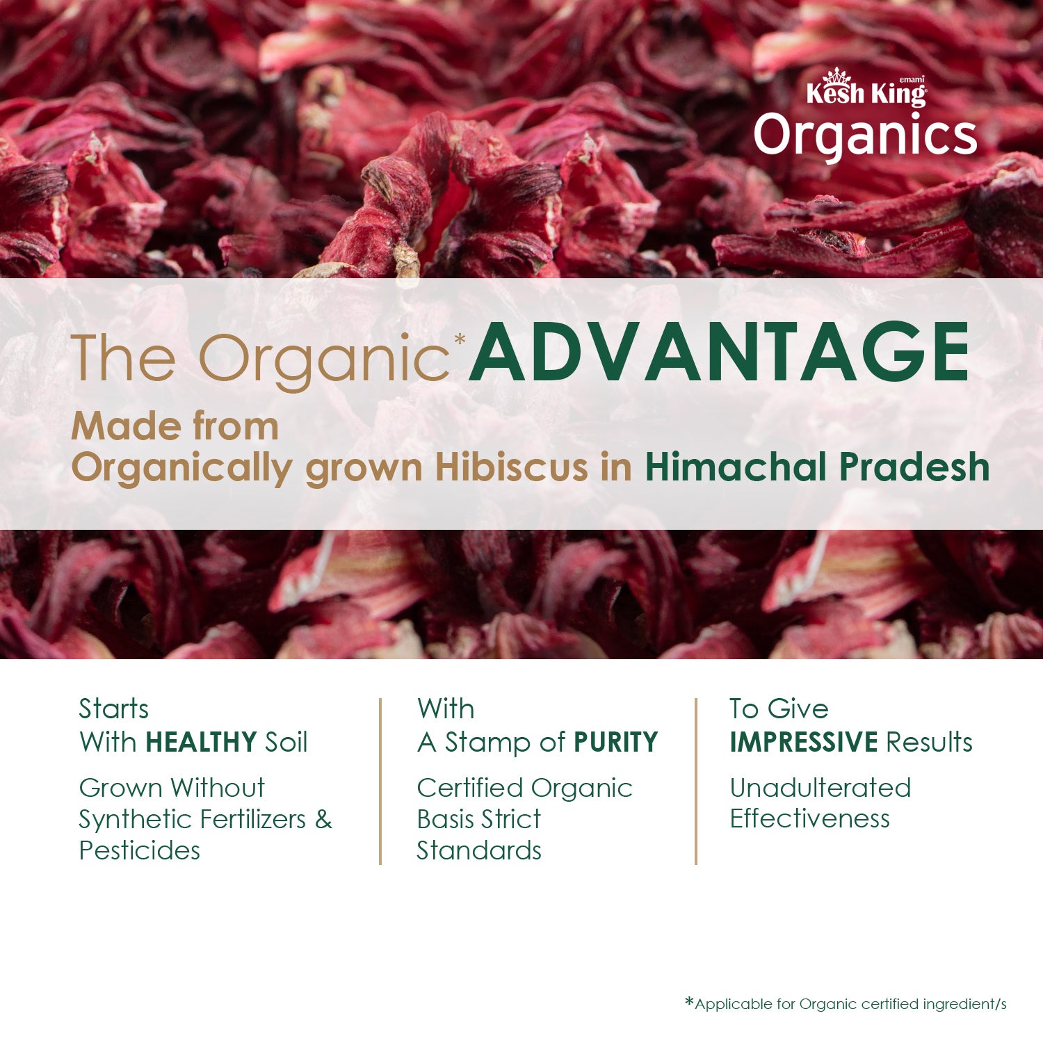 Kesh King Organics Organic Hibiscus Powder 100g