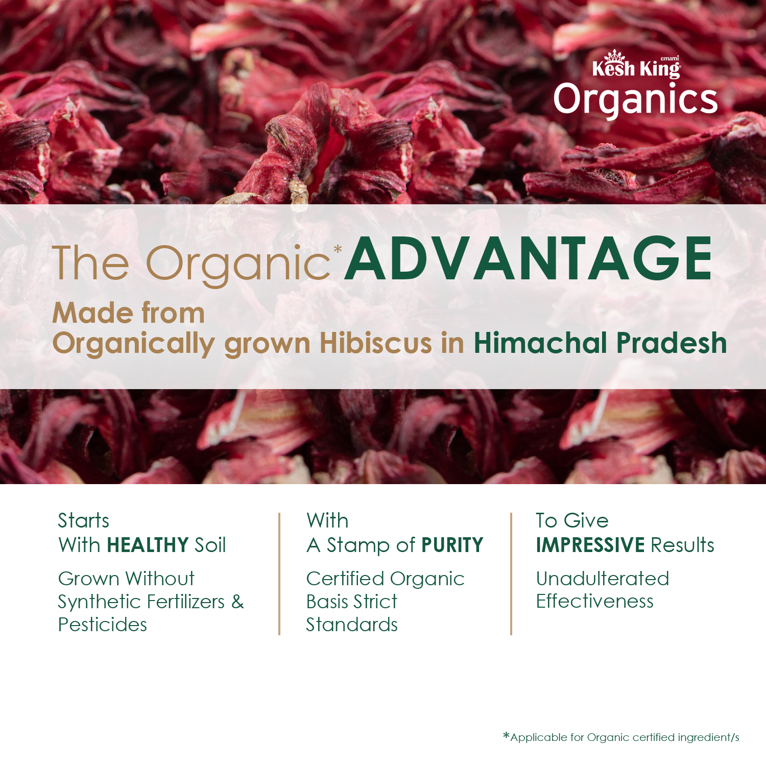 Kesh King Organics Organic Hibiscus Powder 100g