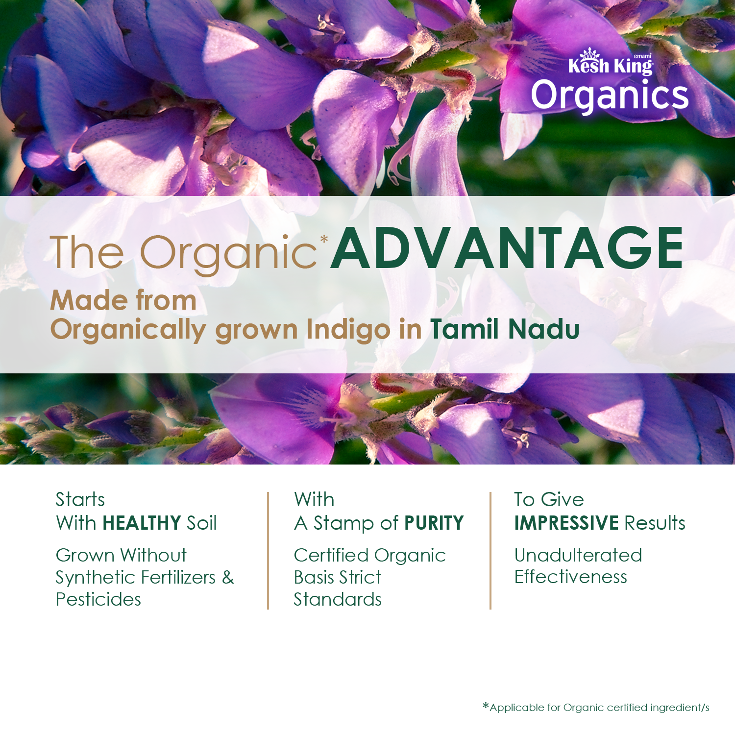 Kesh King Organics Organic Indigo Powder 100g
