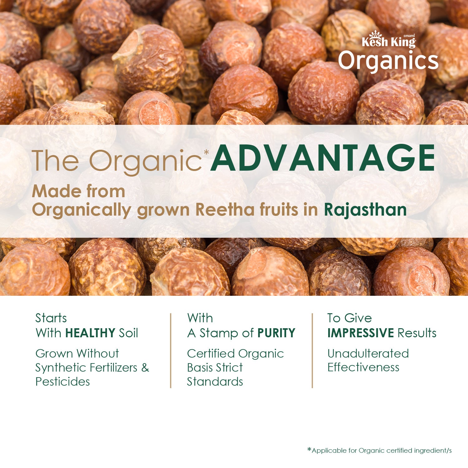 Kesh King Organics Organic Reetha Powder 100g