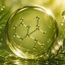 Tea Tree + Azelaic Acid