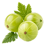 Amla